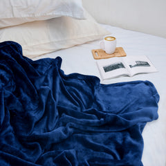 Coral Fleece Embossed Thermal Soft AC Throw Blanket - Blue