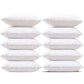 Cushion Fillings Set Pack Of 10